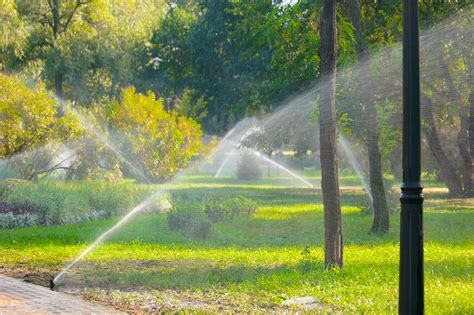 Quelles Sont Les Solutions Pour Arroser Mon Jardin Atelier Chapeau