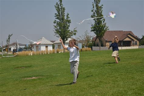 A school of fish: Homemade Kites