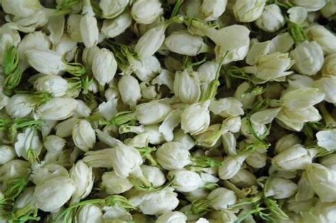 White Dried Jasmine Flower At Rs Kilogram S In Lucknow Id