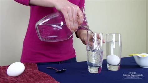 Floating Egg Science Experiment