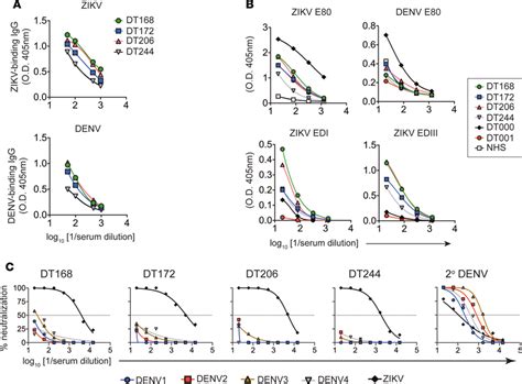 Primary Serologic Response To Zikv A Plasma From 4 Primary Zikv