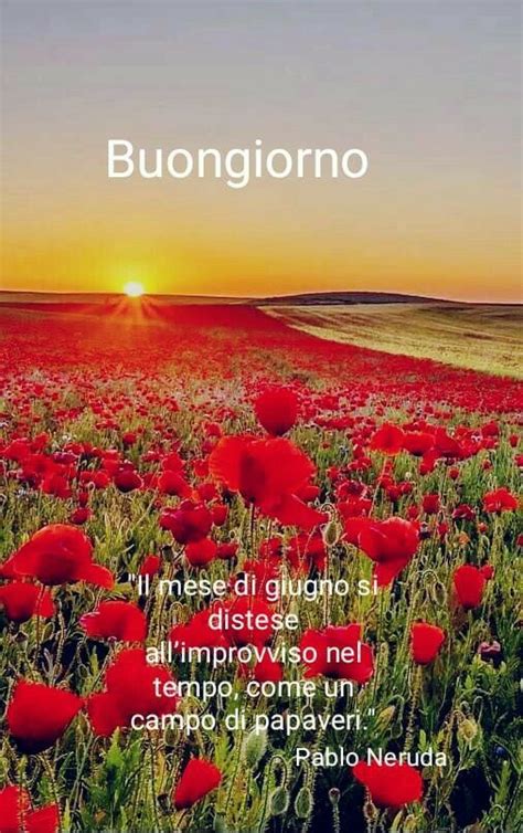 Pin Di Anna Maria Su Giugno Buongiorno Bellissimo Buongiorno