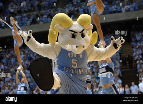 University Of Florida Mascot High Resolution Stock Photography and Images - Alamy