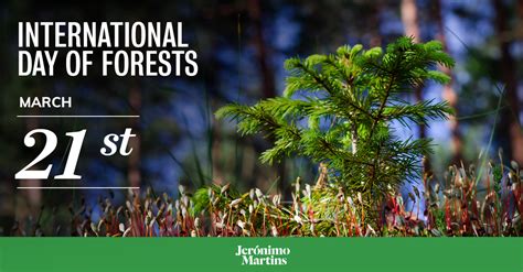 Jerónimo Martins on LinkedIn: Forests are the most biologically diverse ecosystems on land ...