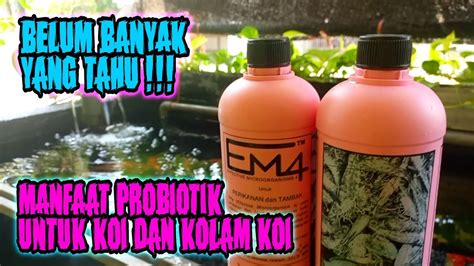 Manfaat Em Probiotik Untuk Perikanan Ikan Sehat Dan Air Jernih