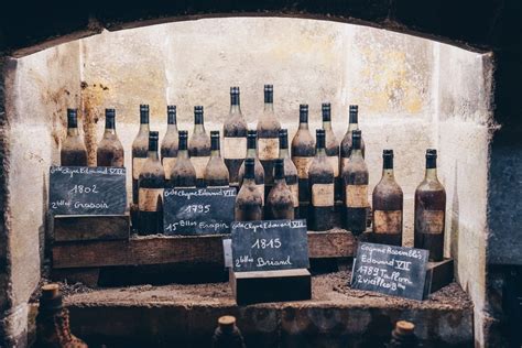 10 Best Things To Do In Cognac France Artofit