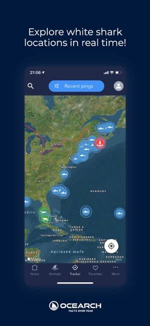 Updated Ocearch Shark Tracker For Iphone Ipad Windows Pc 2023 🔥