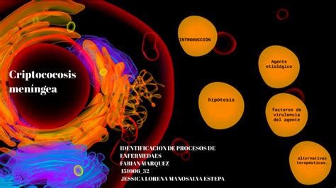 Criptococosis meníngea by maria Monsalve on Prezi
