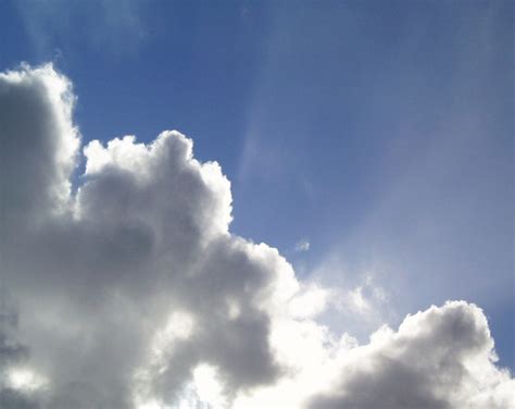 Free brilliant Photos & Pictures | FreeImages 