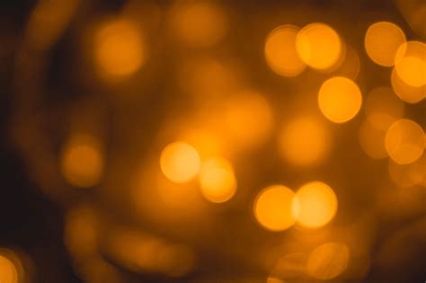 Más de 2 000 imágenes gratis de Foco y Foca - Pixabay