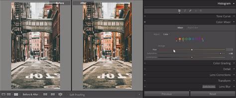 How To Use HSL In Lightroom Classic A Guide To Color Adjustment