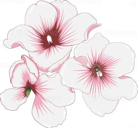 Dibujo De Flor Rosa 19859198 Png