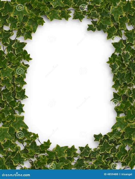 Ivy Border Or Frame 3d Stock Illustration Illustration Of Foliage