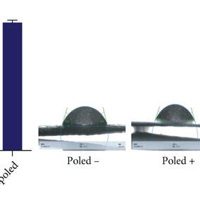 SEM Images And Water Contact Angle Of P VDF TrFE Membranes A B