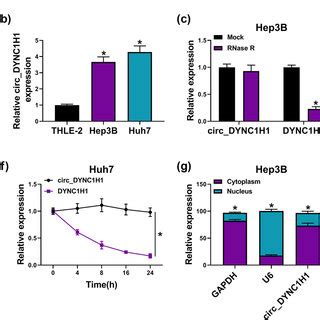 Overexpression Of Circ DYNC1H1 Relieved The Lidocaine Mediated HCC