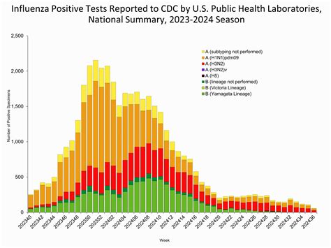 Weekly US Influenza Surveillance Report: Key Updates for Week 36