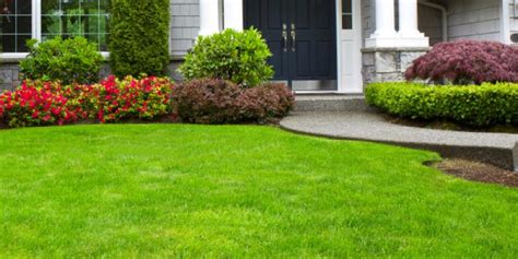 Our Services Lead to Healthy and Beautiful Lawns