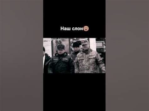 Продався за 🍬🍫 #порошенко #скарб #мем - YouTube