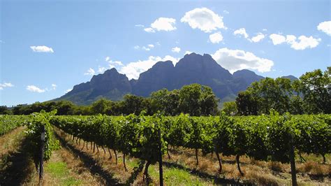 South African Wine Regions | Wine Guide | Virgin Wines