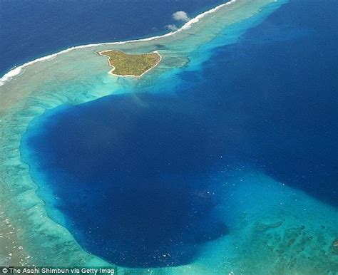 Bikini Atoll Has Thriving Ecosystem Daily Mail Online