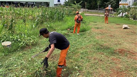 Ppsu Kelurahan Cibubur Bersihkan Lahan Untuk Budidaya Tanaman Produktif