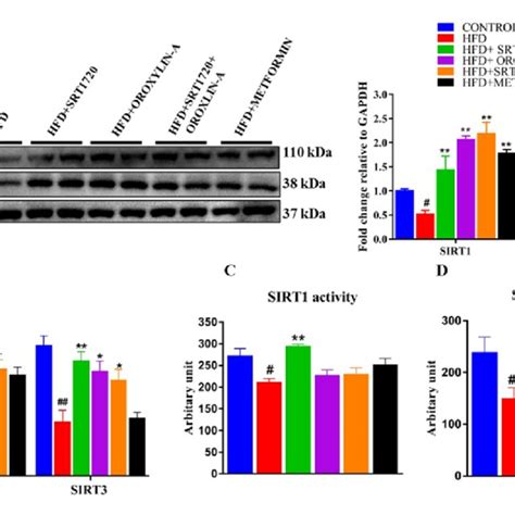 Sirtuin Activation Enhances The Cardiac Expression And Activity Of