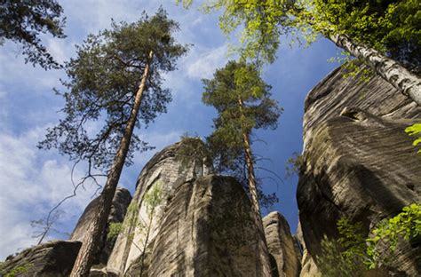 Adrspach SKALNE MIASTO Wycieczka ze Szklarskiej Poręby Almar Biuro