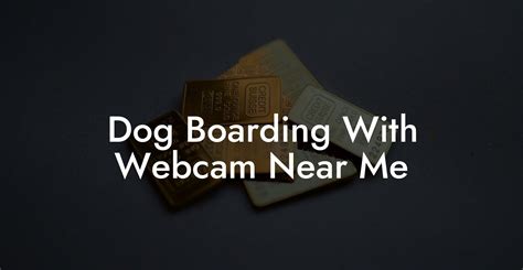 Dog Boarding With Webcam Near Me - Dog Hotels