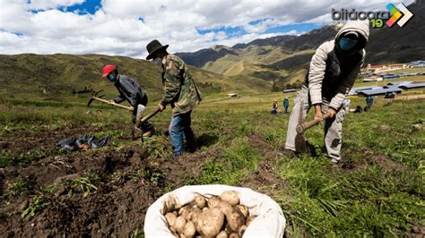 Programa Allin Kawsay Busca Mejorar La Calidad De Vida De Los