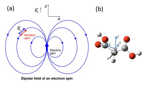 Physics Viewpoint Nuclear Spins Tango To The Tune Of An Electron