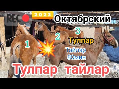 Тулпар - YouTube