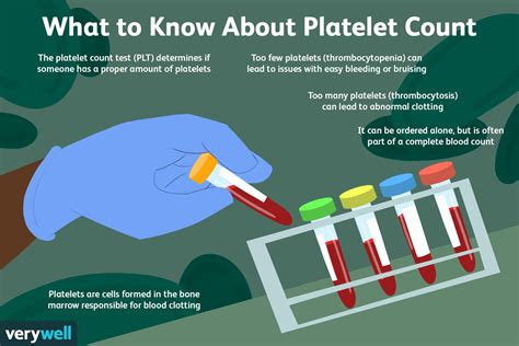 Platelet Count Plt Purpose Procedure And Results