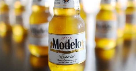 What Kind of Beer is Modelo Especial? Full Guide