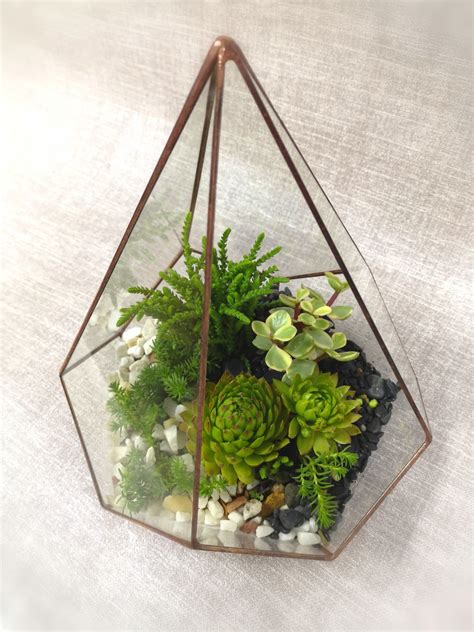 Флорариум большой