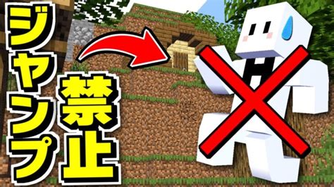 【マインクラフト】ジャンプが出来ない世界で上を目指して脱出しろ！？【マイクラ】 Minecraft Summary マイクラ動画