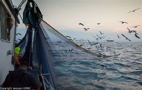 Bateau Peche Filet