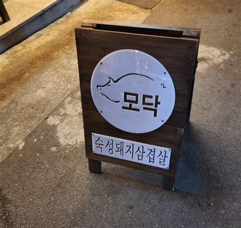 대구 동대구역 맛집 모닥 분위기 좋은 회식장소 네이버 블로그