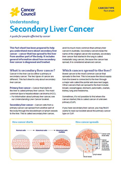 Secondary Liver Cancer Symptoms Cancer Council Nsw