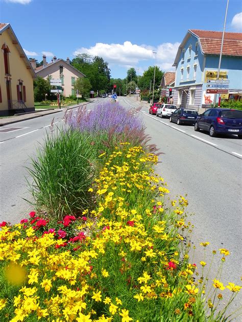 Massifs Floraux En T Ville De Belfort Ville De Belfort