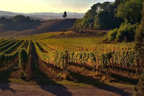 Grand Tour Of Pienza Montalcino Montepulciano Wine And Cheese Tasting