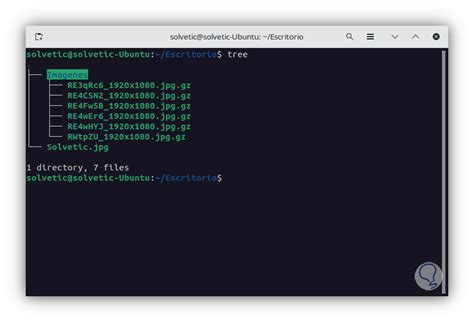 Comprimir O Descomprimir Archivos Con Gzip En Linux Solvetic