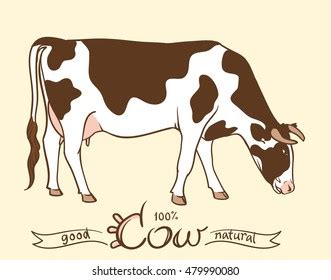 1,276 Cow Eating Grass Drawing Royalty-Free Photos and Stock Images ...