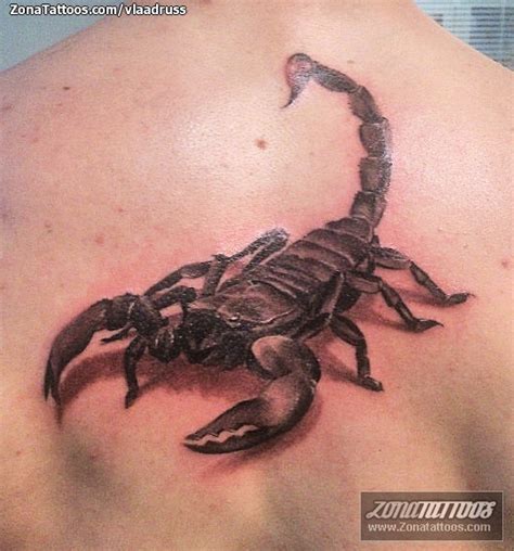 Tatuaje De Escorpiones Insectos Espalda