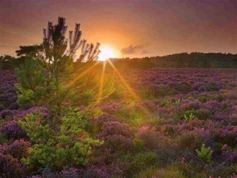 UK Nature Reserves Near Me: 22 Of The Best For Walks And Wildlife