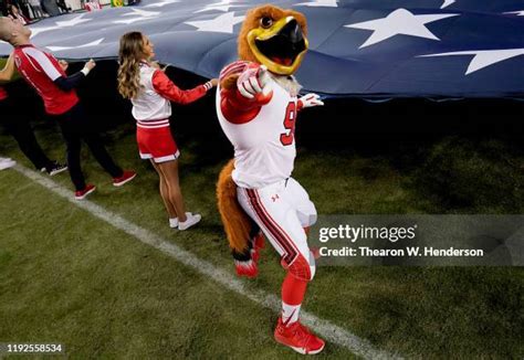 Utah Utes Mascot Photos And Premium High Res Pictures Getty Images