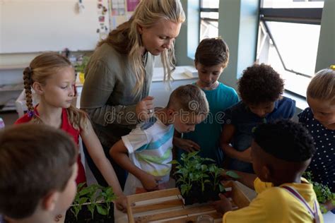 Female Teacher Around A Box Of Plants For A Nature Study Lesson In An