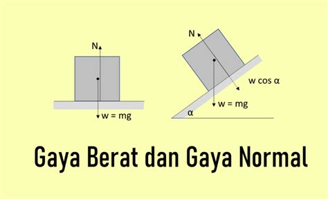 Gaya Berat Dan Gaya Normal Beserta 3 Contoh Soal