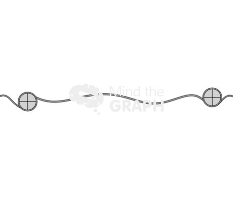 Dna filament histone