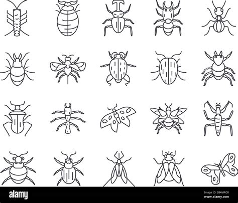 Bugs And Insect Icon Set Over White Background Line Detail Style