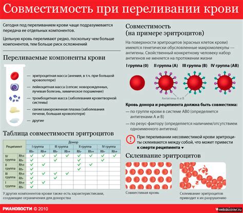 КАКАЯ ГРУППА КРОВИ ЛУЧШЕ? | TrueBiology